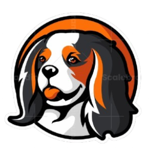 royalheartcavalier.com